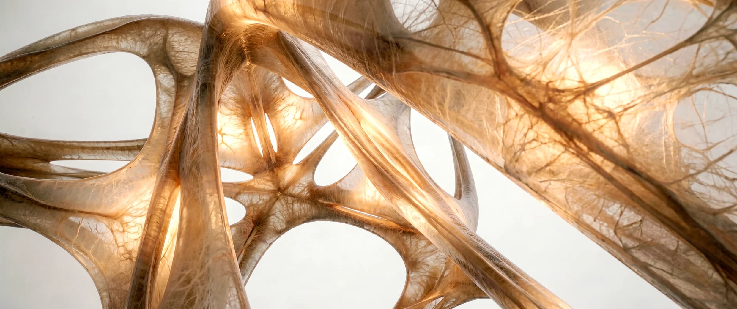 Material Innovation